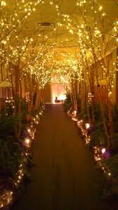 Tblighting Com Prom Walkway Wedding Reception Lighting Enchanted Forest Wedding Wedding Lights