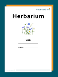 Vorlagen fur ein herbarium 5. Vorlagen Fur Ein Herbarium