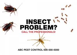 The best way to do this is to hire a professional. Pest Control Ad Blaze New Media