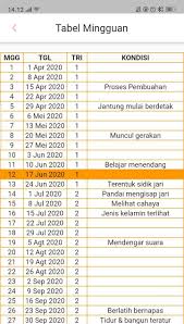 Kalkulator kehamilan adalah alat yang sangat mudah digunakan untuk ibu hamil. Kalkulator Kehamilan Plus Kalender Usia Kehamilan For Android Apk Download