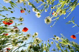 æå¯«æ¥å¤©æéäºå¥½è©å°±å¤ äº- æ¯æ¥é ­æ¢