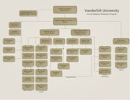 Organizational Chart Hrpp Irb Vanderbilt University