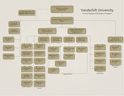 organizational chart hrpp irb vanderbilt university