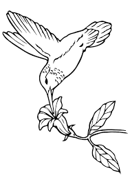 Plus, it's an easy way to celebrate each season or special holidays. Hummingbird Coloring Pages Free Printable Coloring Pages For Kids