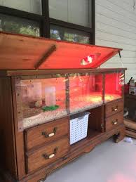 If you are a new parent when you definitely know the facts. Bearded Dragon Habitat 15 Chicken Brooder Chicken Diy Bearded Dragon Habitat
