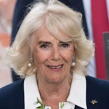 Queen Camilla jokes about 'nudging' King Charles out of 'special' patronage 