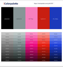 Pink is a pale reddish color with the hex code #ffc0cb, named after the dianthus plumarius flower, also known as the common pink. once associated with masculinity in western culture, pink is now. 38 Latest Color Schemes With Black And Hot Pink Color Tone Combinations 2021 Icolorpalette