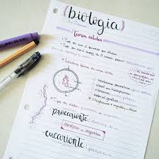 Ana 17 Vestibulemos Instagram Photos And Videos Study Notes Medical Student Study Study Hard