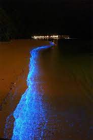 Lugares Increibles Del Planeta Las Playas Malvinas Por Xxsamu Steemit