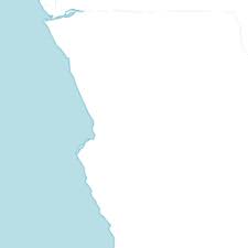 Image result for Acanthus mayaccanus