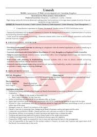 Example of lates sample resume free download professional curriculum vitae of bpo call centre employee with experience for bpo jobs (3 p. Accountant Sample Resumes Download Resume Format Templates
