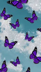 Purple butterfly wallpaper for phone. Blue And Purple Butterfly Wallpapers Top Free Blue And Purple Butterfly Backgrounds Wallpaperaccess