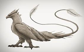 Thunderbird Frank By Spencer Ford C 2017 Fantastic Beasts Thunderbird Mythical Creatures Art Beast Wallpaper