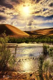 Margaret Cisneros (mcisneros710mug)