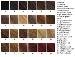 Understanding Hair Color Codes Black Clip In