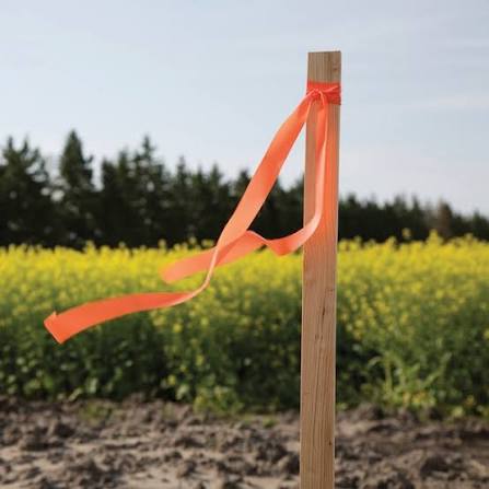 12 -Pack 36.0-in Wood Multipurpose Landscape Stake in the Landscape Stakes  department at Lowes.com