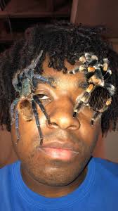 Blog — Kelvin Wiley