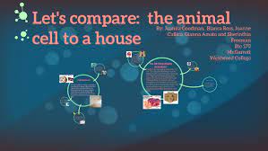 Maybe you would like to learn more about one of these? Let S Compare Animal Cell To A House By