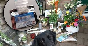 Posted on may 27, 2021 by nate traeger. Burgemeesters Oost Nederland Luiden Noodklok Over Levensgevaarlijke Drug 3 Mmc Dit Is Zo Verslavend Zo N Rotzooi Oldebroek Destentor Nl