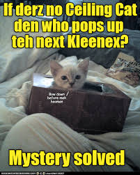 320 x 320 jpeg 27 кб. Lolcats Ceiling Cat Lol At Funny Cat Memes Funny Cat Pictures With Words On Them Lol Cat Memes Funny Cats Funny Cat Pictures With Words