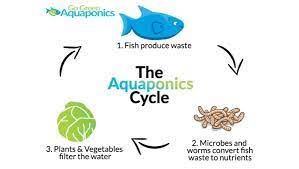 The Ultimate Aquaponics Beginner S Guide Noticias De Jardim