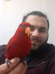 We'll miss him, but good luck