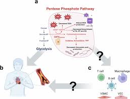 Image result for G6PD Deficiency Detection