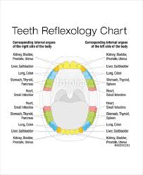 11 Reflexology Chart Templates Free Sample Example