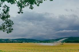 Summer at amityville beach scenes of winter in amityville if you were born in the village of amityville, you can either come in to village hall or write to the. Top 5 Benefits Of Sprinkler Irrigation Systems In Your Garden Sprinklrite