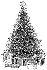 Sure, some people enjoy artfully stringing lights on the evergreen boughs and relish the opportunity to rediscover cherished ornaments that have languished in storage for so. How To Draw A Christmas Tree Hard How To Images Collection