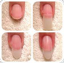 You want to choose a color that matches what you are hoping to get. Artificial Nails Gel Nails Nail Art Manicure Png Clipart Acrylic Fiber Acrylic Paint Acrylic Resin Artificial