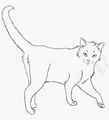 According to the primary contours circle the body and head of the cat. Realistic Cat Base Cat 867x921 Png Download Pngkit