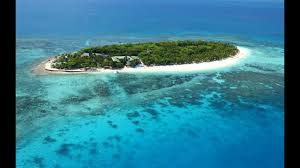 We did not find results for: Treasure Island Fiji Myfiji Youtube
