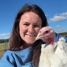 What chicken breeds are available in Sampson County, NC?