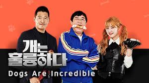 Full list episodes oppa thinking english sub | viewasian, celebrities make promotional videos of themselves, produced by one of the teams, and upload them on social media to appeal to the public. Dogs Are Incredible Episode 52 English Sub Dramacool