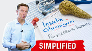 Glucagon is a peptide hormone, produced by alpha cells of the pancreas. Glucagon Triggers Ketosis Insulin Blocks It Youtube