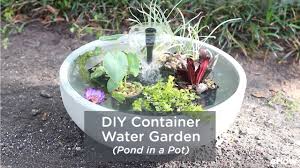 Pond pots, sometimes referred to as still pots, nestle nicely in small spaces such as balconies or decks but they can also be tucked into nooks pond pots are susceptible to extremes in temperature and organic changes and so are pond pot fish. Diy Container Water Garden Pond In A Pot Youtube