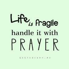 Maybe you would like to learn more about one of these? Life Is Fragile Quotes Quotesgram