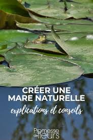 L'idéal est de placer votre bassin dans une partie basse de votre pour créer une mare naturelle, n'hésitez pas à être créatif ! Creer Une Mare Naturelle Dans Son Jardin Conseils