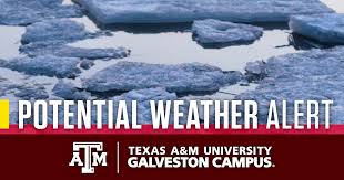 Weather update is a fast, simple, reliable and intuitive app for your android device. Winter Weather Update Texas A M Galveston Tx