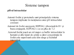 Tipuri de reacţii biochimice ce se bioenergeticii celulare: Teachers Are Not Only Content Providers Ppt Katebasma