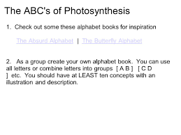 Co 7 Chapter 10 Photosynthesis Name A Plant You Have Seen