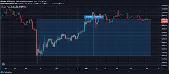 Top cryptocurrencies who performed better in 2020. Cardano S Hype Driven By Exponential Price Hikes And Declining Correlations Fr24 News English