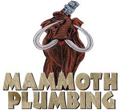 We sell, install and repair houston tankless water heaters designed to help you enjoy a constant supply of hot water for washing clothes. Mammoth Plumbing Mammoth Plumbing Services Repairs