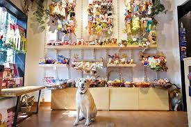 Find it in the app store. Best Pet Shops In Delhi I Lbb Delhi