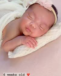 Andrea Friedman Photography