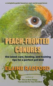 Peach fronted conure for sale/trade. Peach Fronted Conures The Latest Care Feeding And Training Tips For A Perfect Pet Bird Amazon Co Uk Radford Elaine 9781797791067 Books