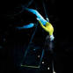 Dunblane Workshops- Aug - Dec 2025 event image