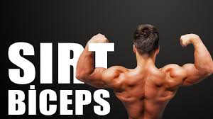 sirt biceps on kol antrenmani sirt ve bicesp on kol kasi na kol kaslari vucut gelistirme kas