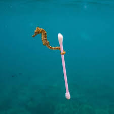 10 Biotic Factors In The Ocean The Great Pacific Garbage Patch Is Located In The North Pacific Gyre Off The Coast Of California And Is The Largest Trash Art Great Pacific Garbage Patch Ocean